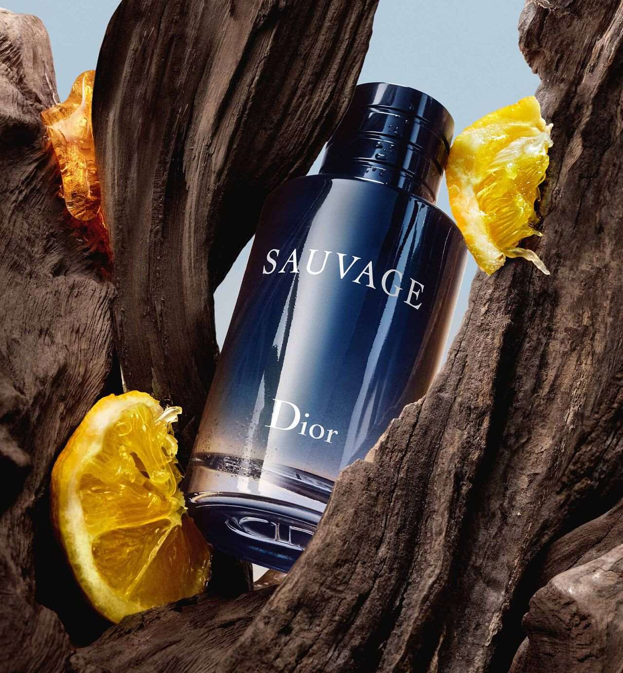 Dior Sauvage Perfume EDT For Men 100ml