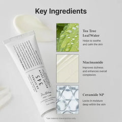 Dr. Althea Best-Selling Recovery Duo